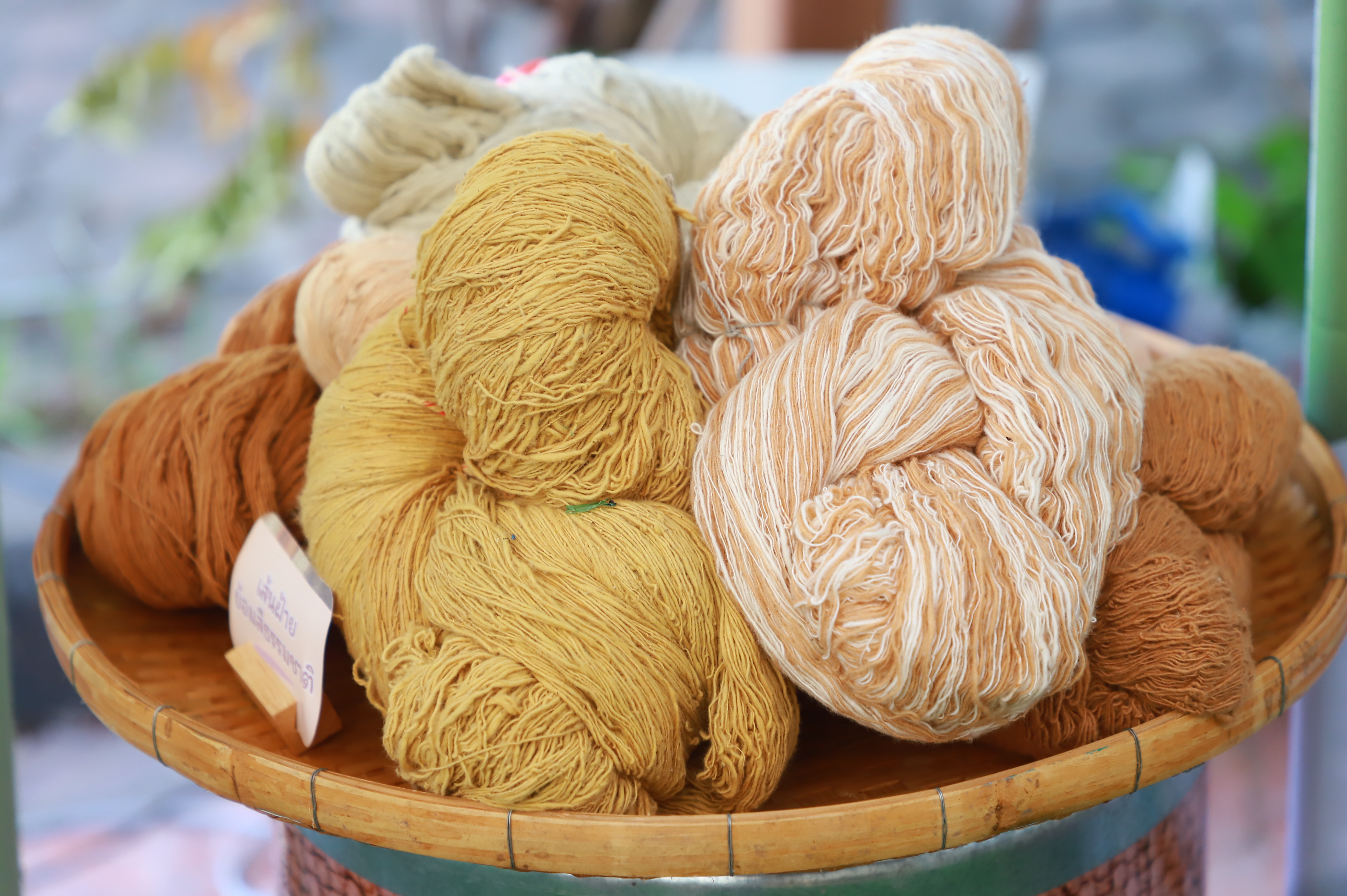 title - รองเลขาฯ ส.ป.ก. ร่วมงานมหกรรม “จากพันธุกรรม สู่ความยั่งยืน” รวมพลังอนุรักษ์ทรัพยากรไทย สร้างความมั่นคงทางอาหารอย่างยั่งยืน และการพึ่งพาตนเองในยามวิกฤต